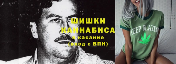 амф Алексин