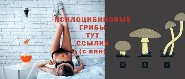 амф Алексин