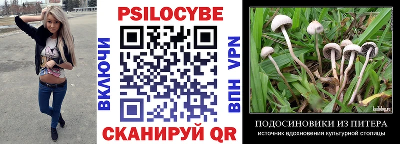 Псилоцибиновые грибы Psilocybine cubensis  Люберцы 